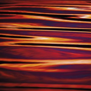 Nigel Mullaney / 31 Days (Limited Edition) (New)