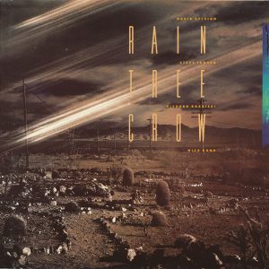 David Sylvian etc / Rain Tree Crow