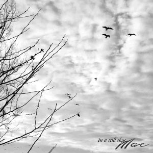 Mac Of Bionight / In A Still Sky (A Synth Music Distribution Title)