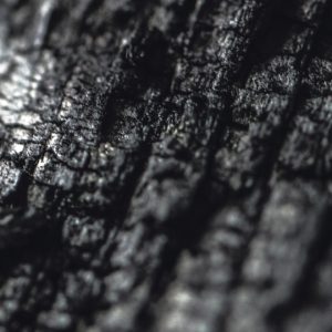 Parallel Worlds / Plector (New - Limited Edition)