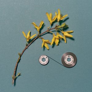 Marcus Fischer and Simon Scott / Shape Memory