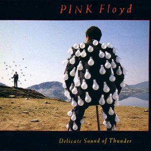 Pink Floyd / Delicate Sound Of Thunder (DCD)