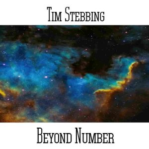 Tim Stebbing / Beyond Number
