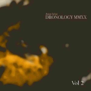 Arjen Schat / Dronology MMXX Vol 2 (A Synth Music Distribution Title)