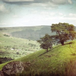 Last Days / These Places Are Now Ruins