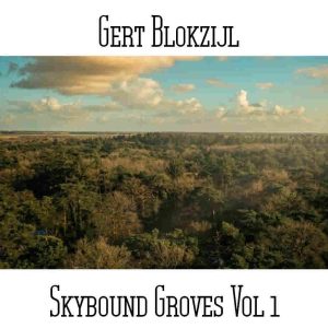 Gert Blokzijl / Skybound Groves Vol 1