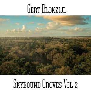 Gert Blokzijl / Skybound Groves Vol 2