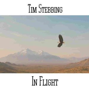 Tim Stebbing / In Flight