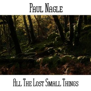 Paul Nagle / All The Lost Small Things