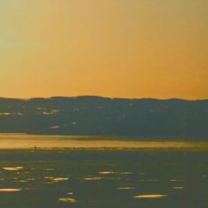 Tripsolate and Redundænt / Reminescenze (Rare)