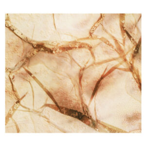 Kayla Painter / Tectonic Particles