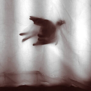 M. Ostermeier / Tiny Birds