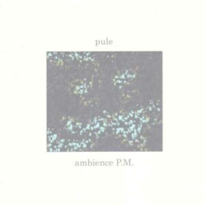 Pule / Ambience P.M. (Rare)