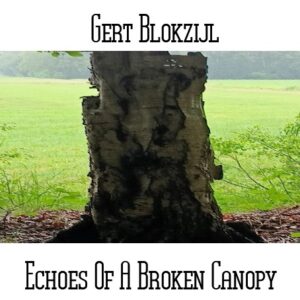 Gert Blokzijl / Echoes Of A Broken Canopy