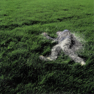 Nigel Samways / Nine Barrow Down