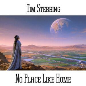 Tim Stebbing / No Place Like Home